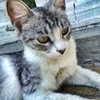 kkulakovaa Altpins Profile Picture