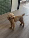 payton.r Altpins Profile Picture