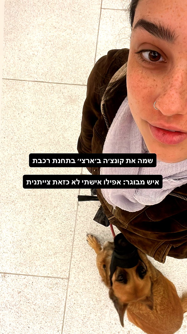yuval_raz archive image
