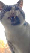 3xiiicom Altpins Profile Picture