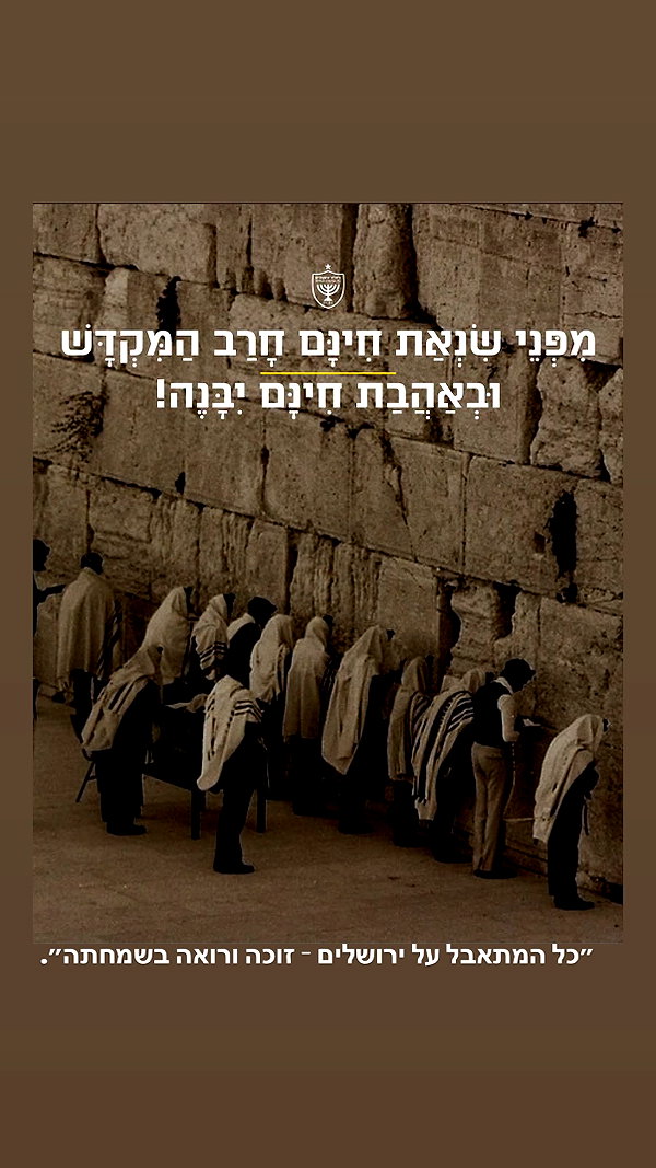 hadar.cha instagram image archive image