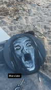 taxevasionkoala Altpins Profile Picture