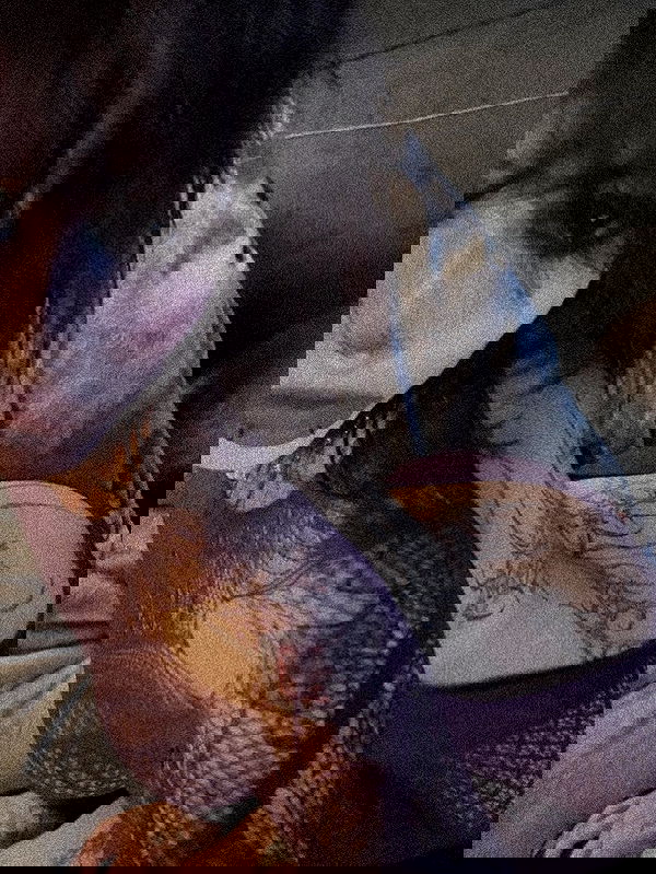 zommmbri zommmbri archive image