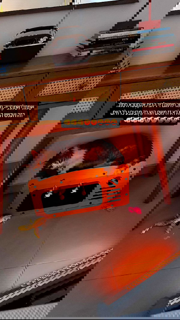 iambohema.v2 iambohema.v2 archive image