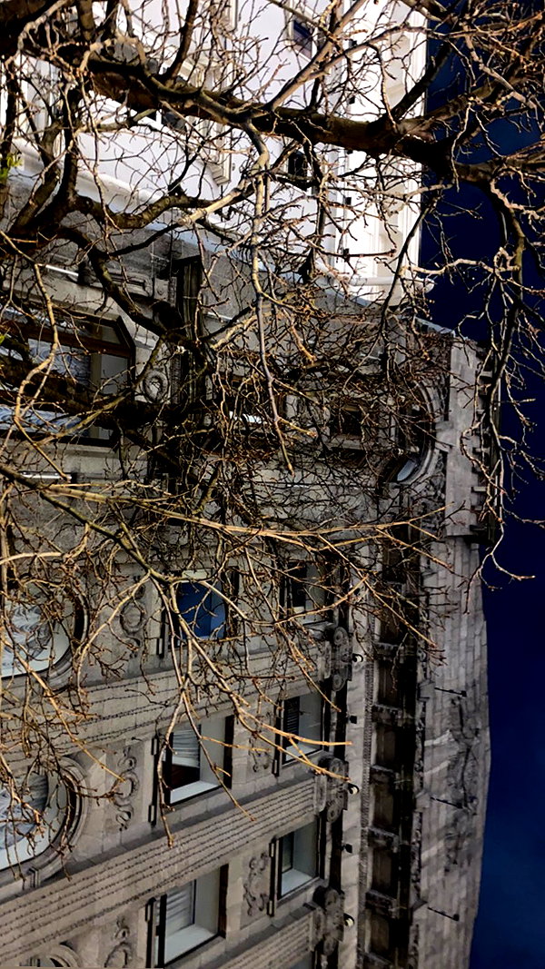 carmexan instagram image archive image