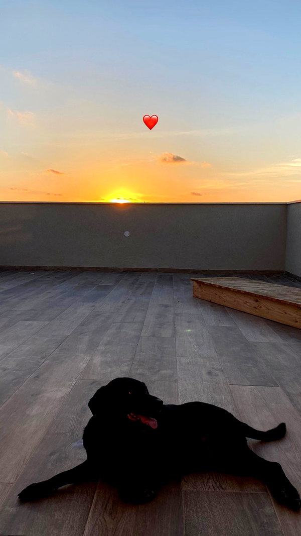 Archived image from @henshitritt on Instagram