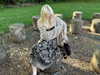 ash.onme Altpins Profile Picture