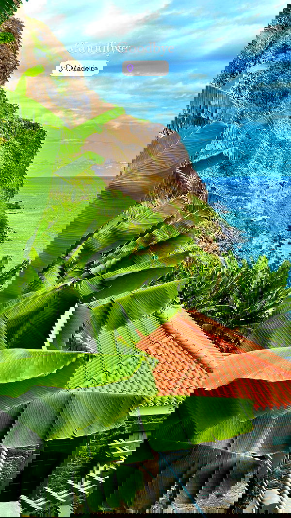 taylor.creeden taylor.creeden archive image