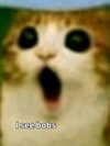 milkibunshehe Altpins Profile Picture