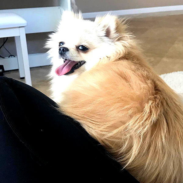 sssniperwolf instagram image archive image