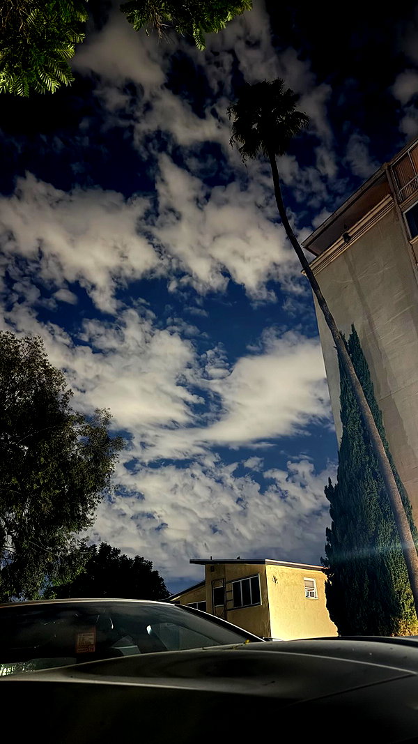 orman.mariee instagram image archive image