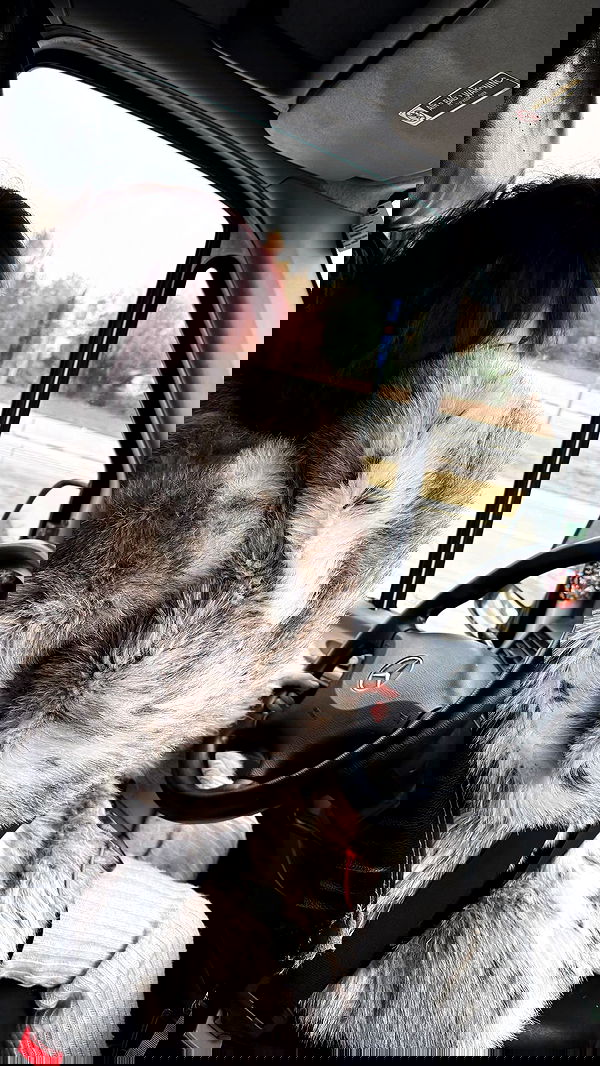 zommmbri zommmbri archive image