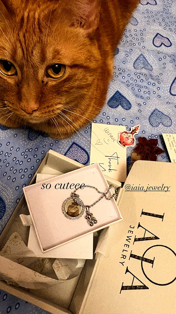 winnie.io instagram image archive image