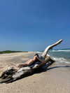 gissell_eli Altpins Profile Picture