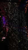 maori_cohen Altpins Profile Picture