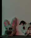 the.q.felicia Altpins Profile Picture