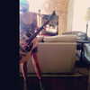 ashleybenson Altpins Profile Picture