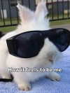 milkibunshehe Altpins Profile Picture