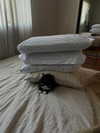 sydney_melman Altpins Profile Picture