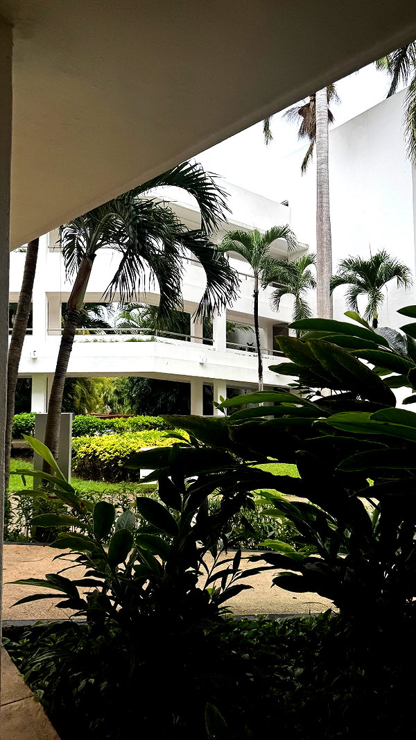 hwriyu instagram image archive image