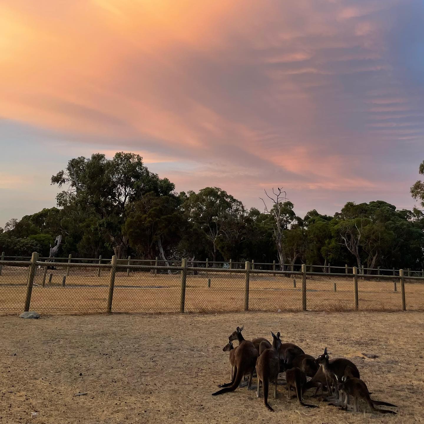 jtilb2 instagram image archive image