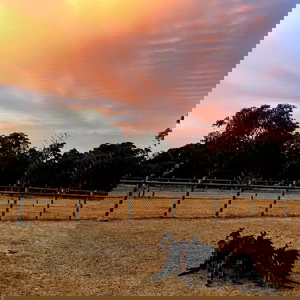 jtilb2 image ~ Altpins