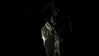 vvelum_ Altpins Profile Picture