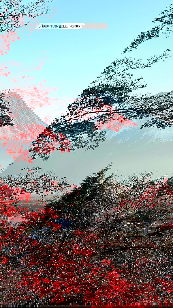 taylor.creeden taylor.creeden archive image