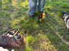 anesa.zm Altpins Profile Picture