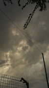 _broock_ Altpins Profile Picture