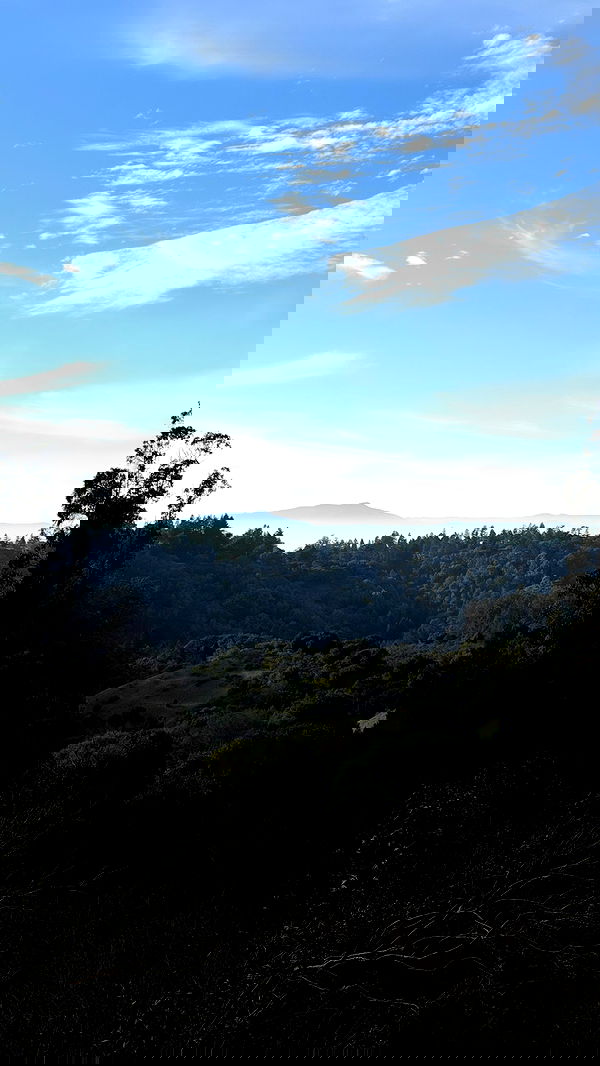 carolinezalog carolinezalog archive image