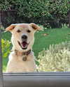 gabbyepstein Altpins Profile Picture