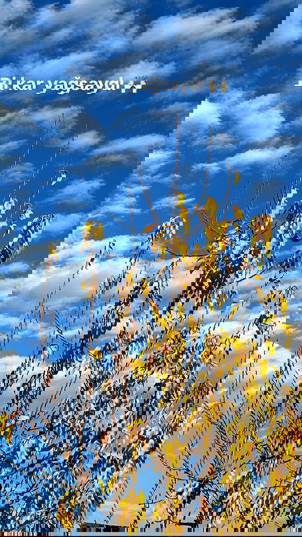 e.eelisha e.eelisha archive image