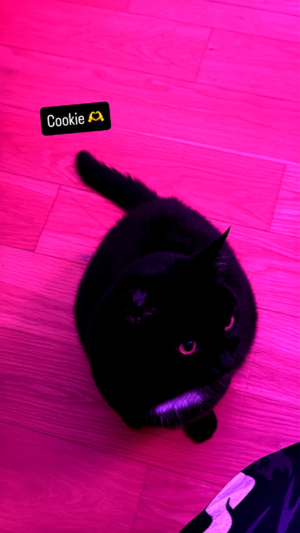 nicoleponyxox instagram image archive image