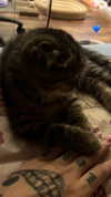wannabeyourbabygirl Altpins Profile Picture