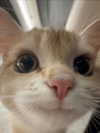 lulymakima Altpins Profile Picture