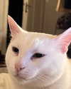mariagabrielasantos Altpins Profile Picture