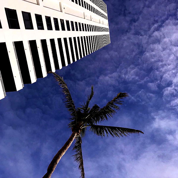 camimendes instagram image archive image