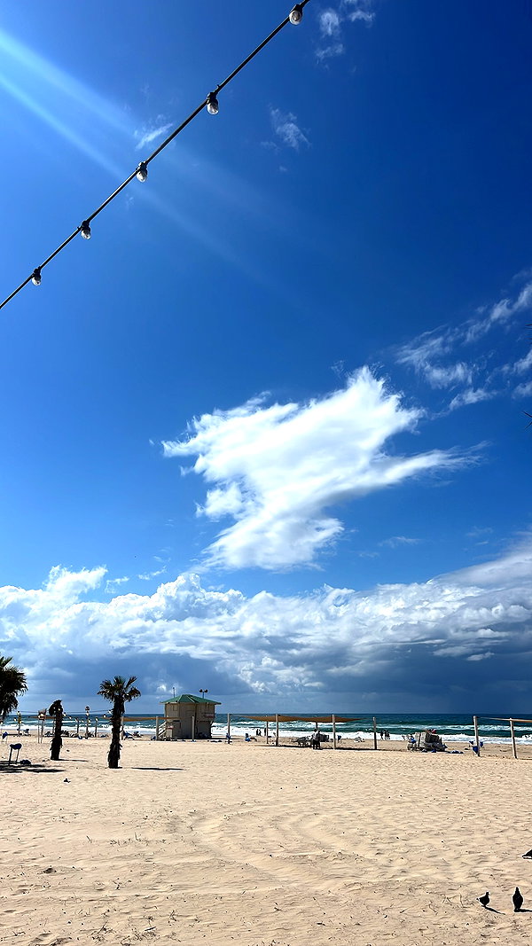 yaelxyazdi instagram image archive image