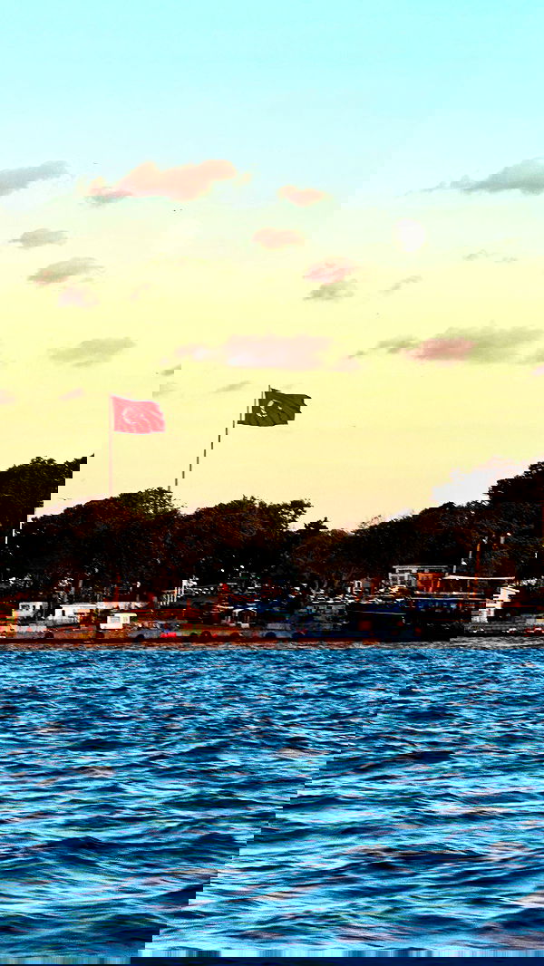 taylor.creeden taylor.creeden archive image