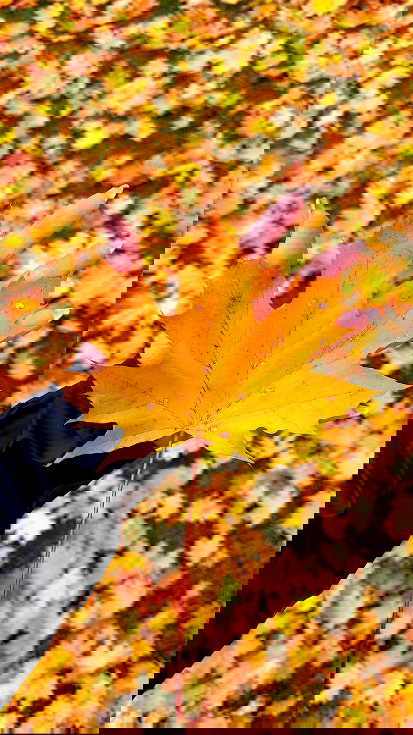 taylor.creeden taylor.creeden archive image