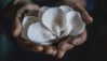 katehudson Altpins Profile Picture