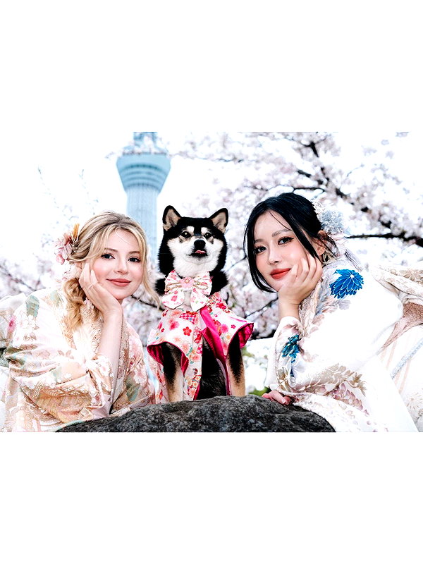 stellalee92 instagram image archive image