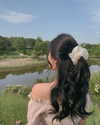 daxbin Altpins Profile Picture