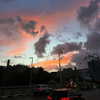 liiza_maarchuk Altpins Profile Picture