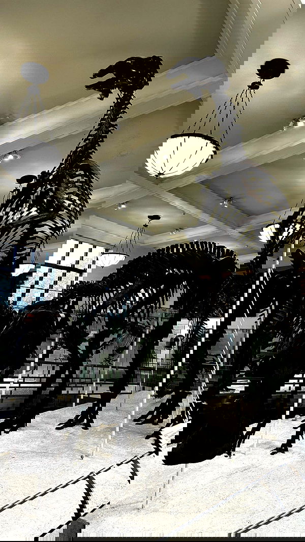 taylor.creeden taylor.creeden archive image