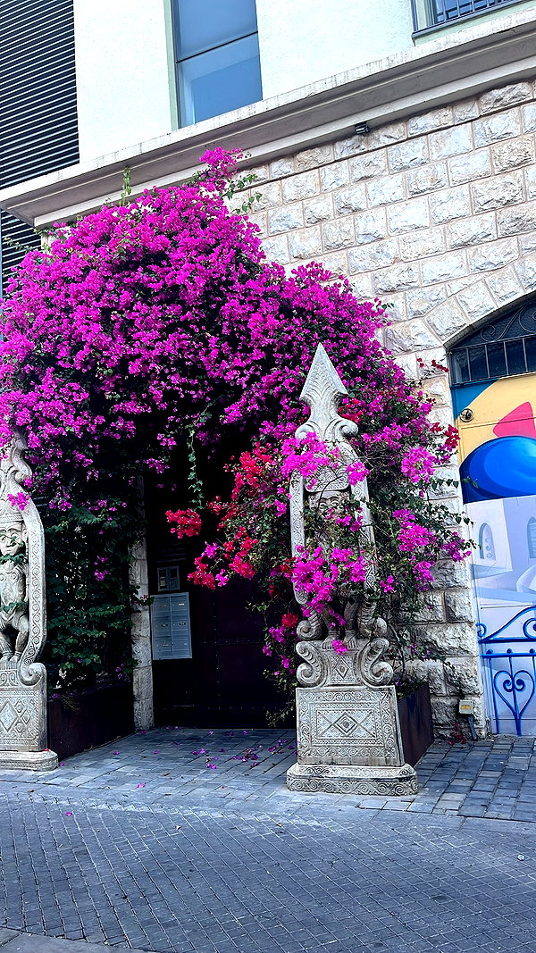 yaelxyazdi instagram image archive image