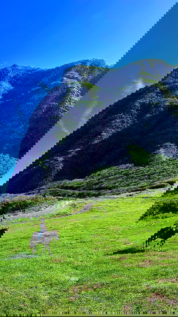 ellamwatts_ ellamwatts_ archive image