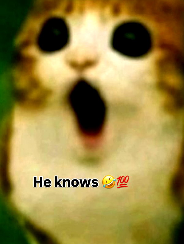 milkibunshehe instagram image archive image