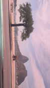 arabelladourado Altpins Profile Picture